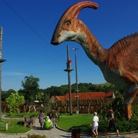 Parazaurolof (Park Dinozaurów i Rozrywki Dinolandia)