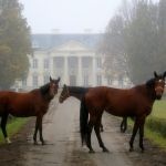 Stadnina Koni w Walewicach