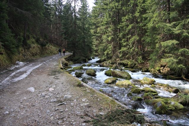 Potok przy szlaku na Kasprowy Wierch