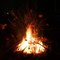 Pieczenie kiełbasek na ognisku w OW Savana
