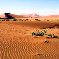 4. Starożytne wydmy z Namib-Naukluft Park, fot. Bjørn Christian Tørrissen