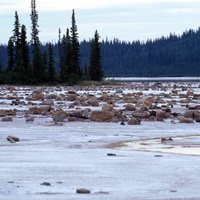 5. Gros Beak Lake, fot. Ansgar Walk