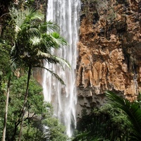 Springbrook National Park